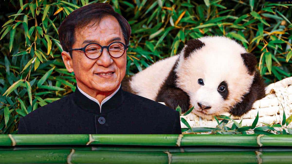 Jackie Chan rescues rare panda in new action-comedy