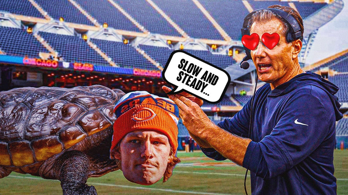 Tyson Bagent as a turtle, Bears, Matt Eberflus