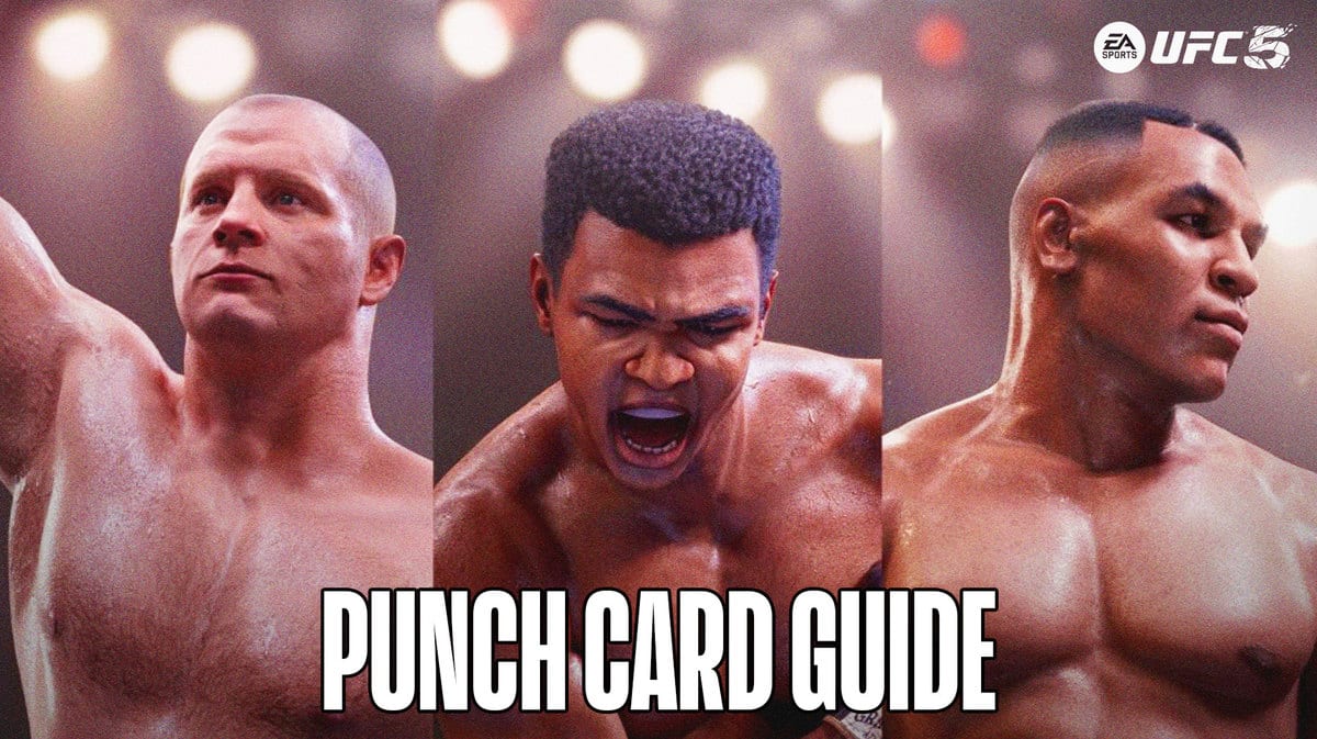 What is a Punch Card?