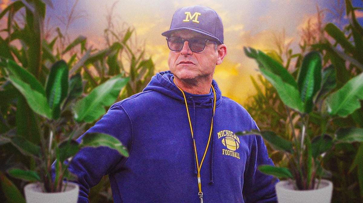 Jim Harbaugh surrounded by house plants and field corn