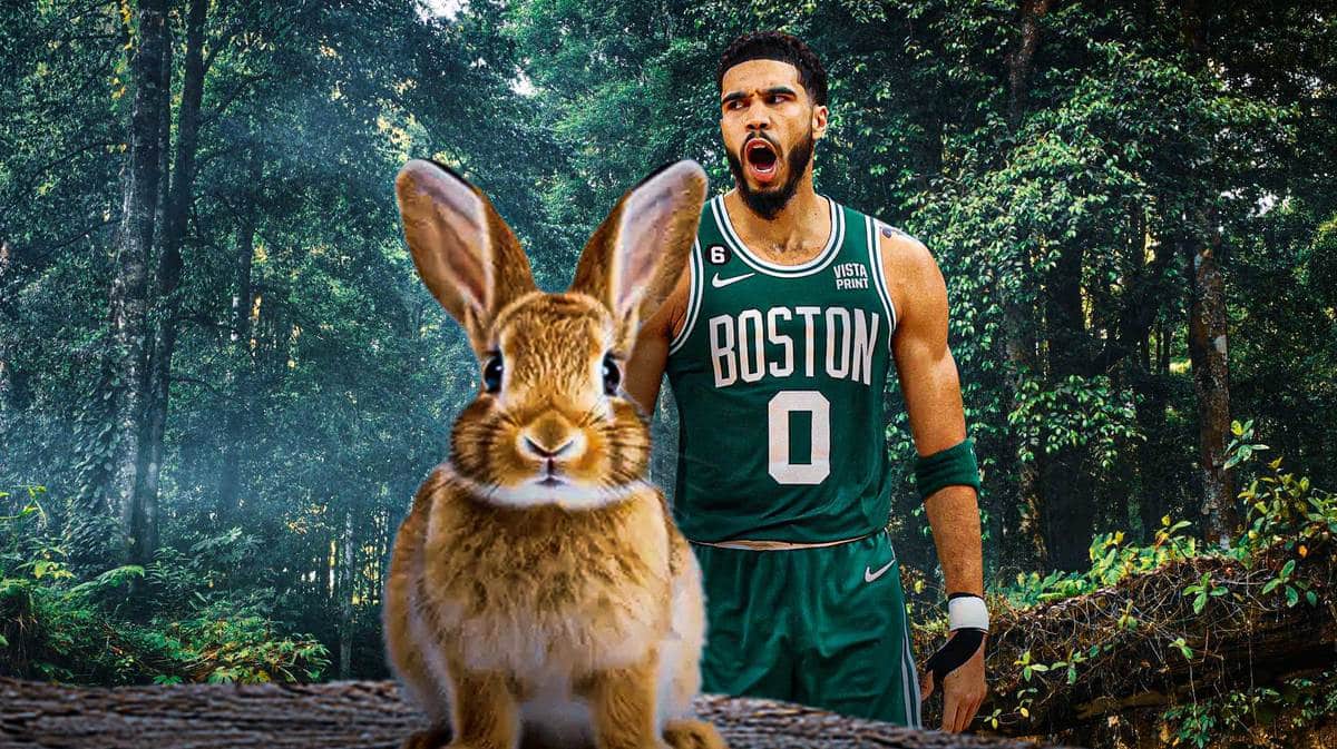 Celtics Star Jayson Tatum Reacts To Hilarious New Nickname