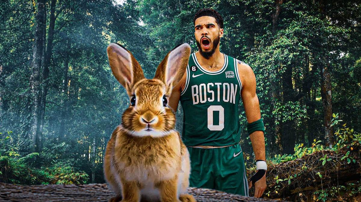Celtics, Jayson Tatum, Tatum nickname, Tatum China, Tatum Celtics