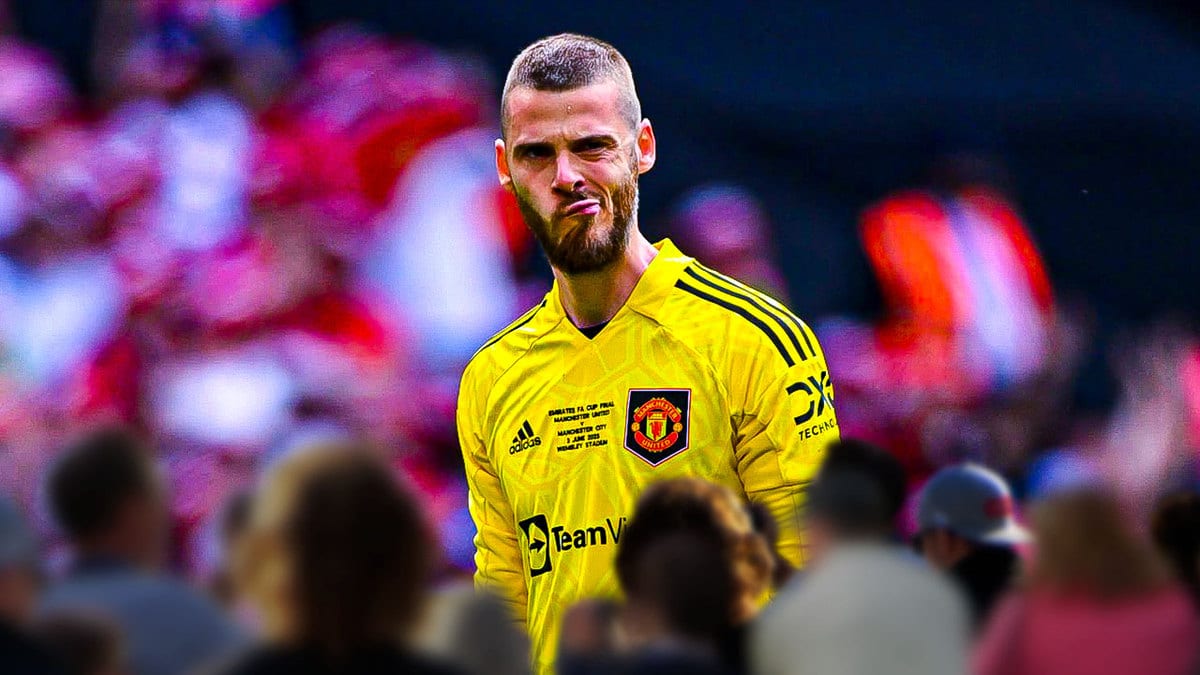 David de Gea Manchester United
