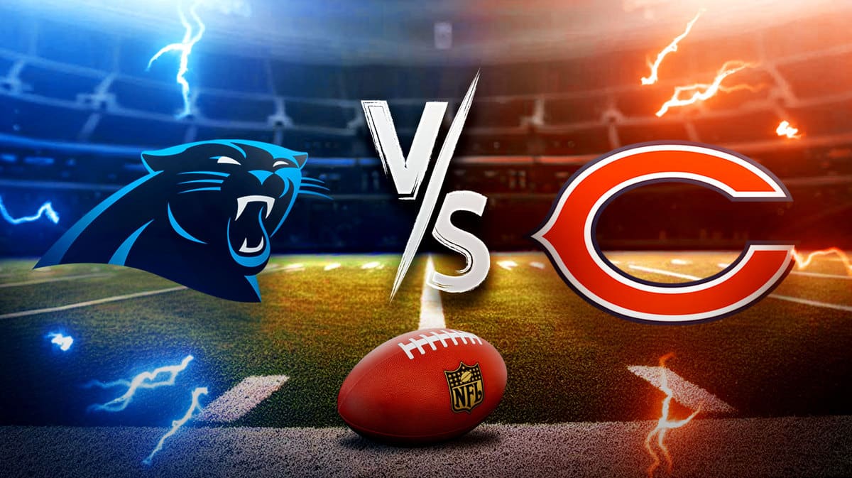 Panthers, Bears
