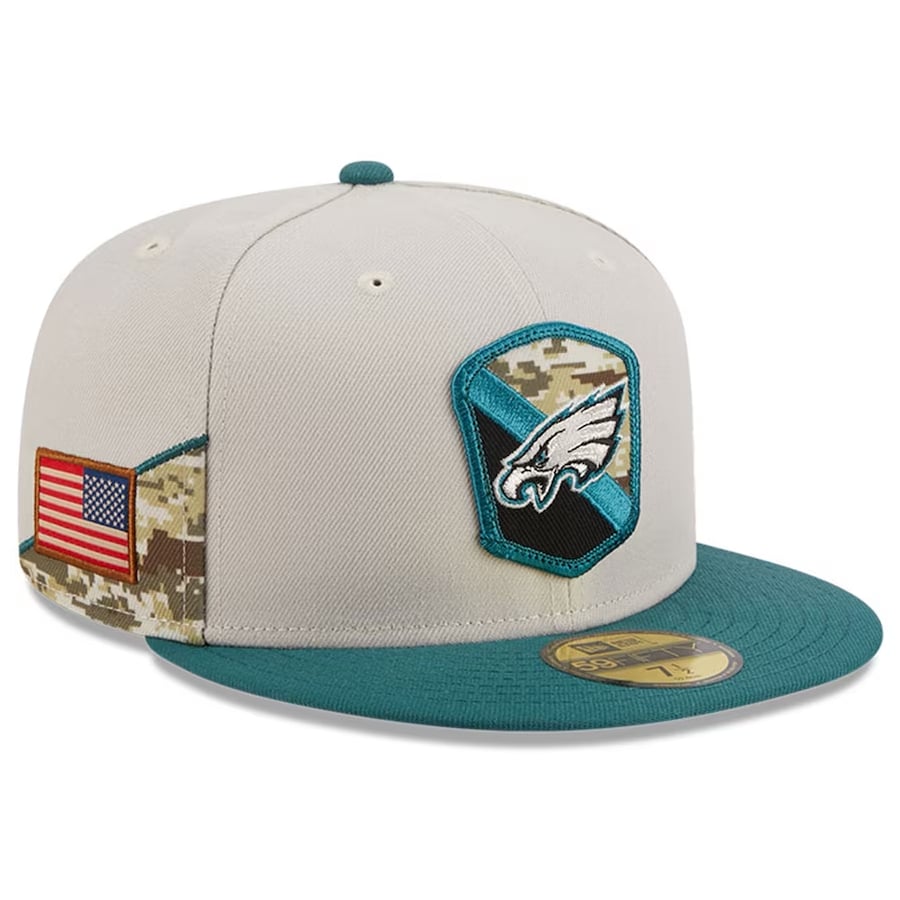 Eagles veterans store day hat