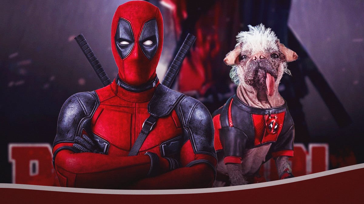 Deadpool 3 gets funny 'Dogpool' update from Ryan Reynolds