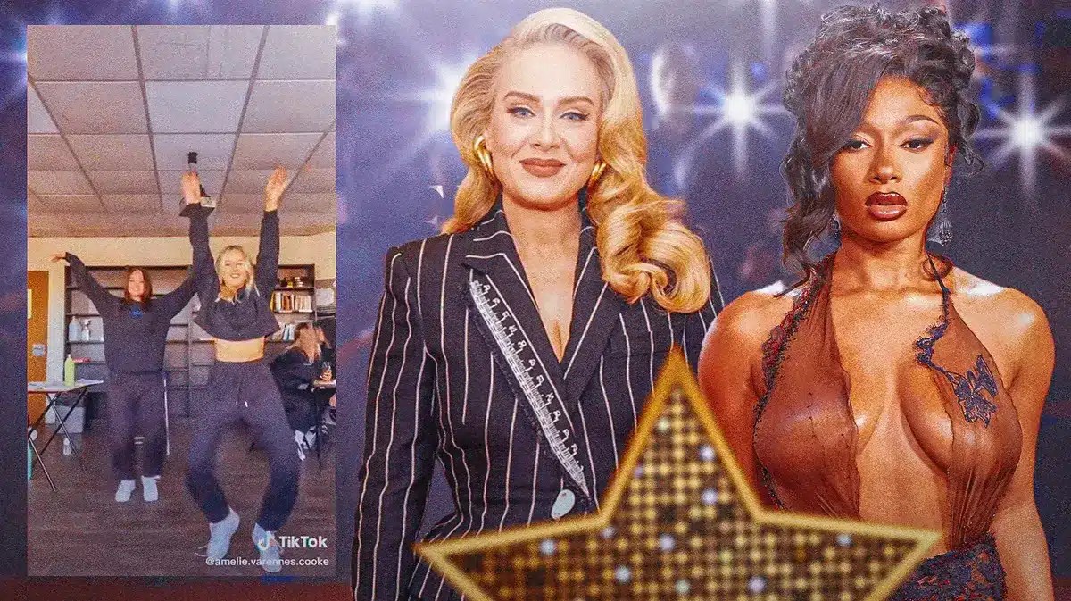 Adele, Megan Thee Stallion, and a still from the Water Under the Bridge TikTok challenge