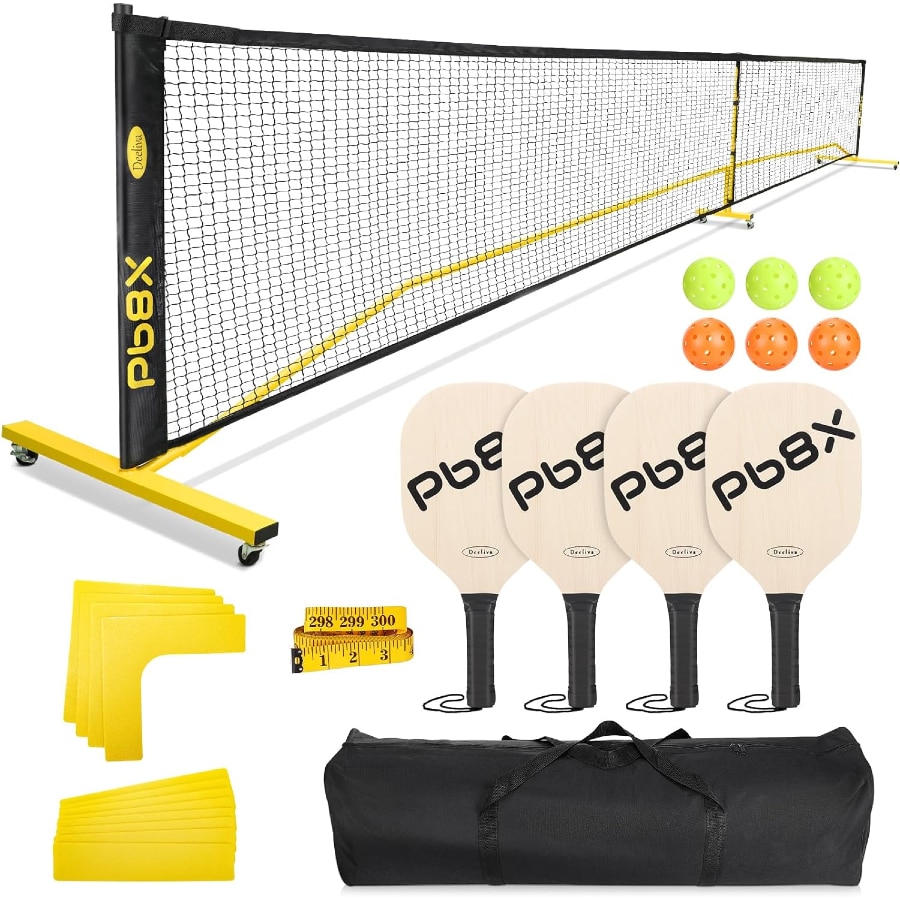 Deeliva Pickleball Net Set on a white background.