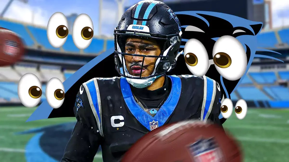 The Panthers have numerous different options in free agency
