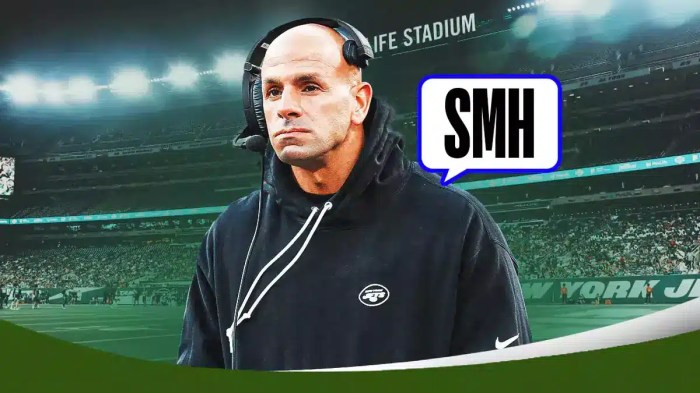 Texans, Saleh Jets, Robert Saleh, Jets, Aaron Rodgers