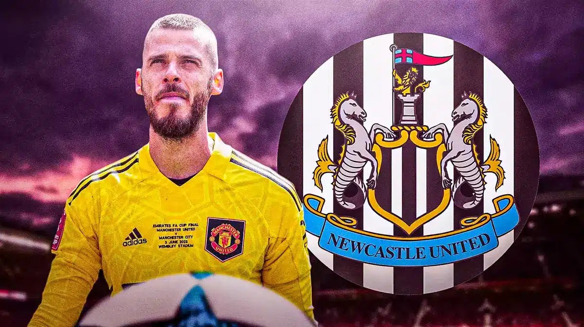 David de Gea Newcastle