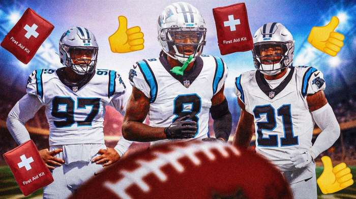 Panthers-news-Three-players-activated-from-IR-before-Bucs-matchup
