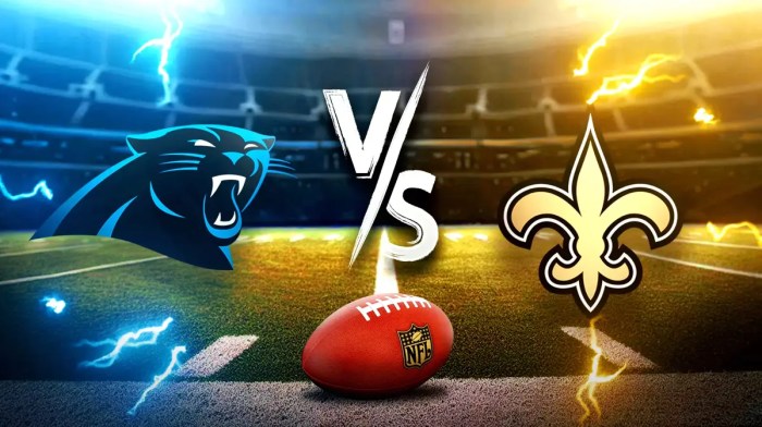 Panthers Saints, Panthers Saints pick, Panthers Saints prediction, Panthers Saints odds, Panthers Saints how to watch