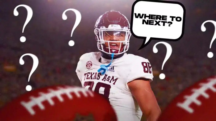 Texas A&M, Walter Nolen