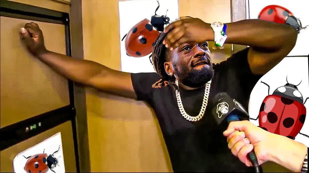 Brandon Aiyuk (49ers) asa meme, with ladybugs in the background
