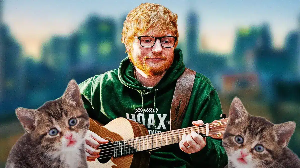 Ed Sheeran with guitar playing for kittens.