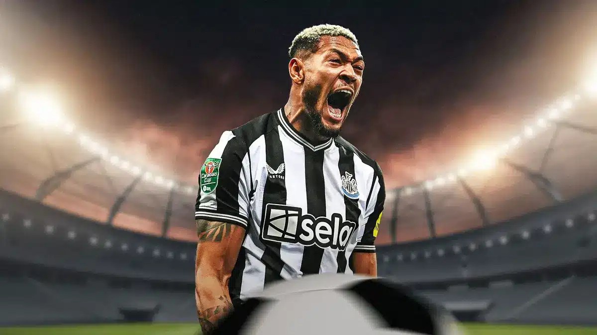 Burglars Joelinton
