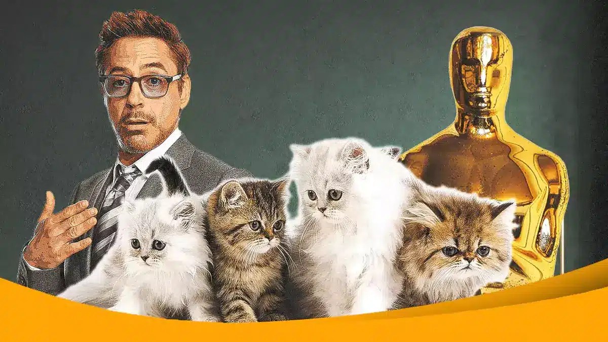 Robert Downey Jr., kittens, Oscar statuette
