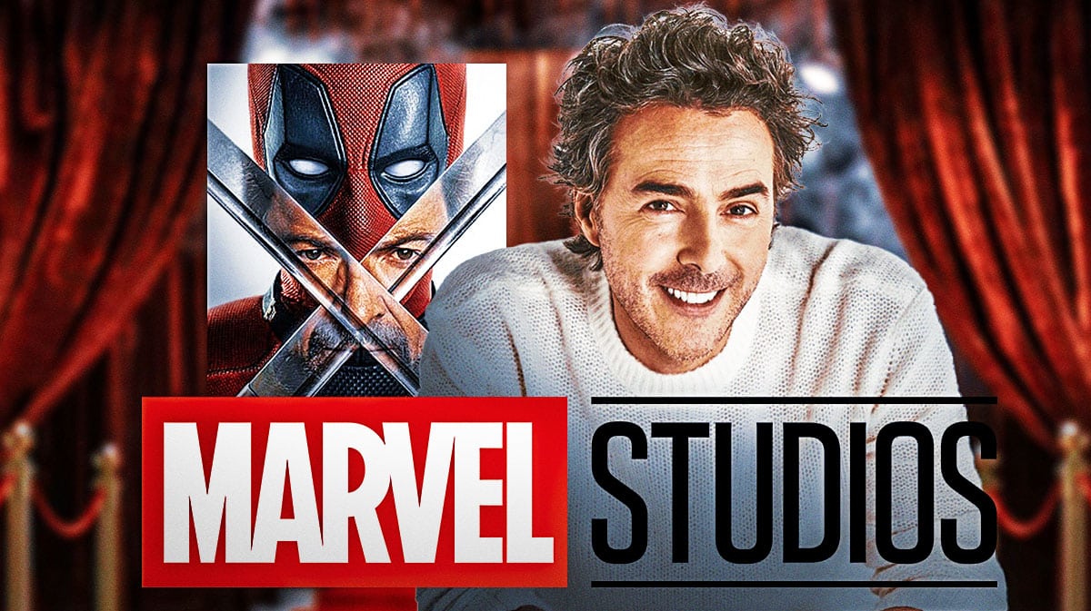 Shawn Levy, The Flash, DCEU