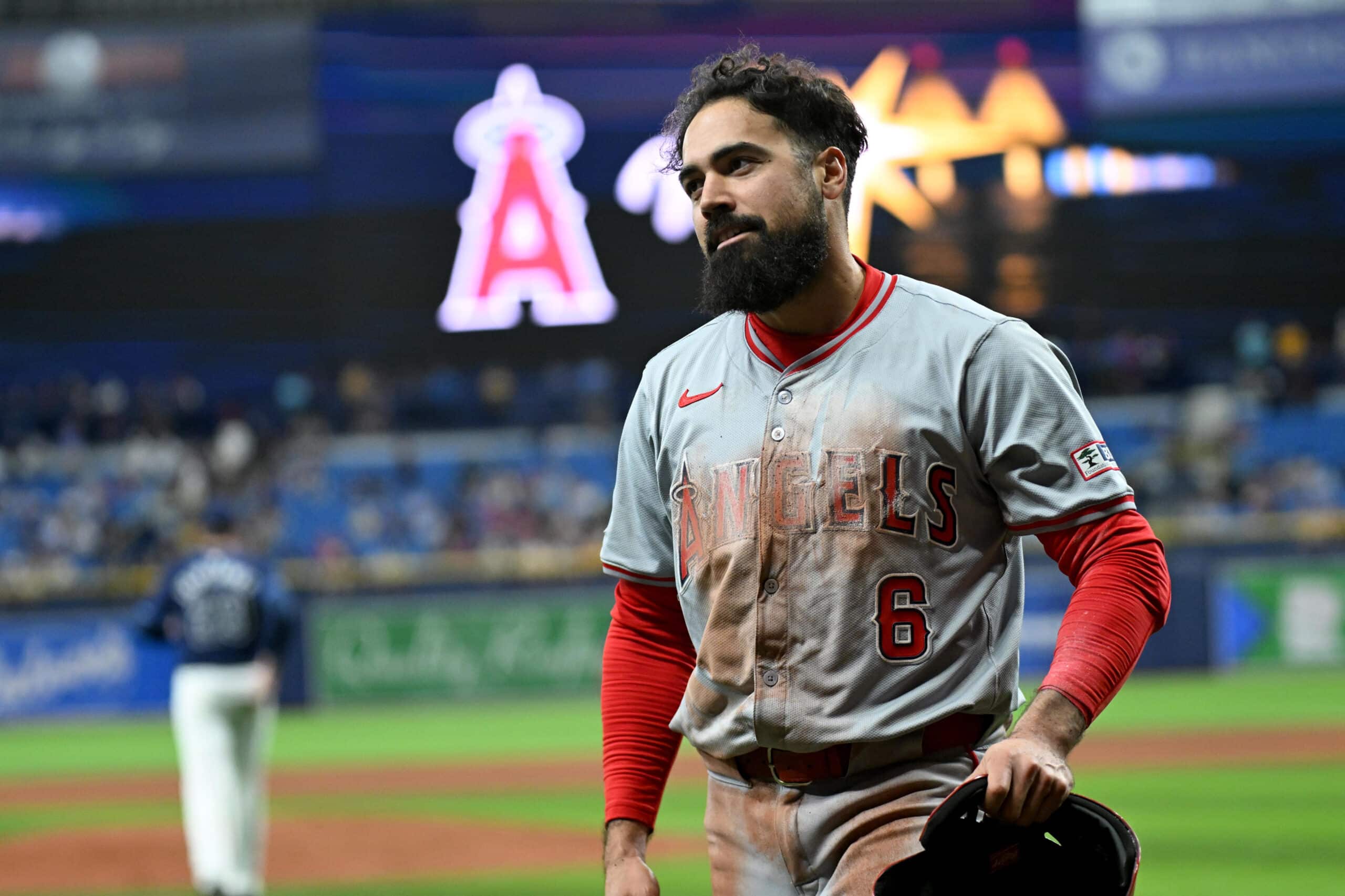 Apr 17, 2024; St. Petersburg, Florida, USA; Los Angeles Angels third baseman Anthony Rendon (6) reacts after scoring a run in the ninth inning against the Tampa Bay Rays at Tropicana Field.