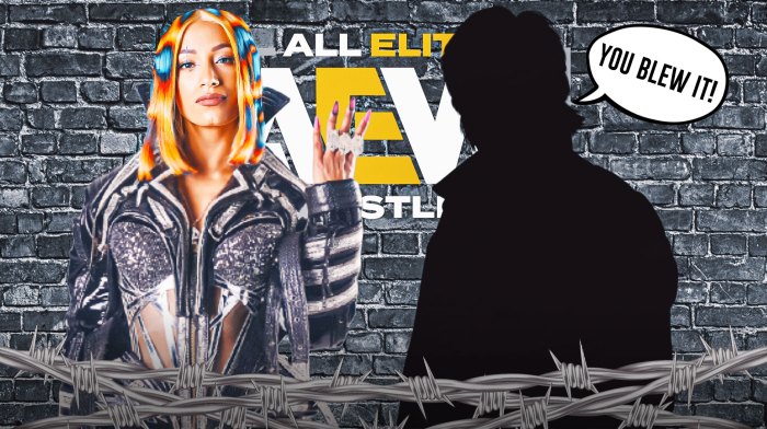 The blacked-out silhouette of Eric Bischoff with a text bubble reading "You blew it!" next to Mercedes Mone with the AEW logo as the background.