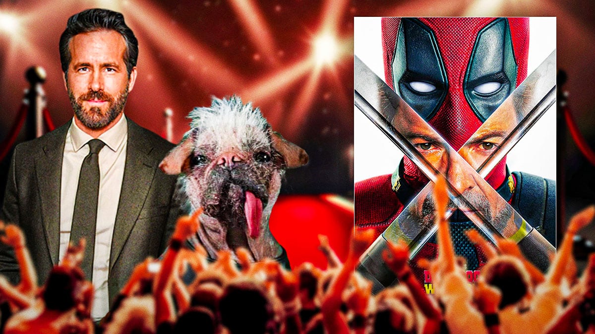 Deadpool & Wolverine's Ryan Reynolds reveals real name of Dogpool ...