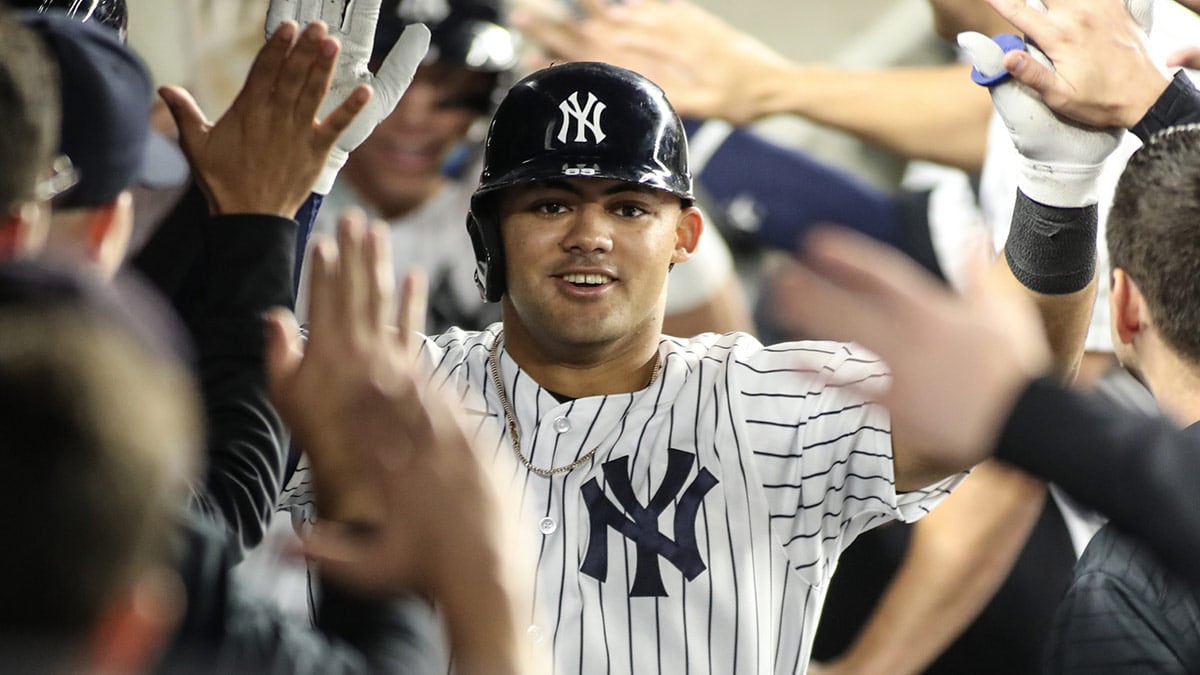 New York Yankees center fielder Jasson Dominguez (89) is greeted in the dugout after hitting a home run in the third inning against the Milwaukee Brewers at Yankee Stadium.