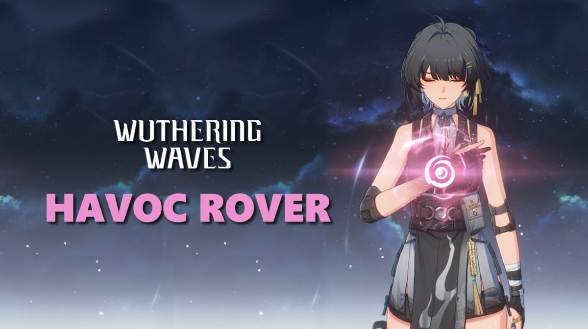 Wuthering Waves Havoc Rover Kit Skills More 6457