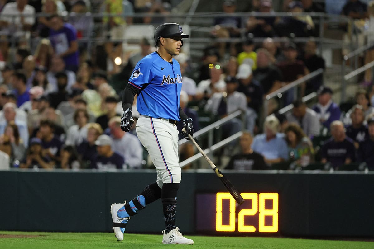 Miami Marlins right fielder Avisail Garcia (24) looks on after this at bat against the New York Yankees during the sixth inning at Roger Dean Chevrolet Stadium.