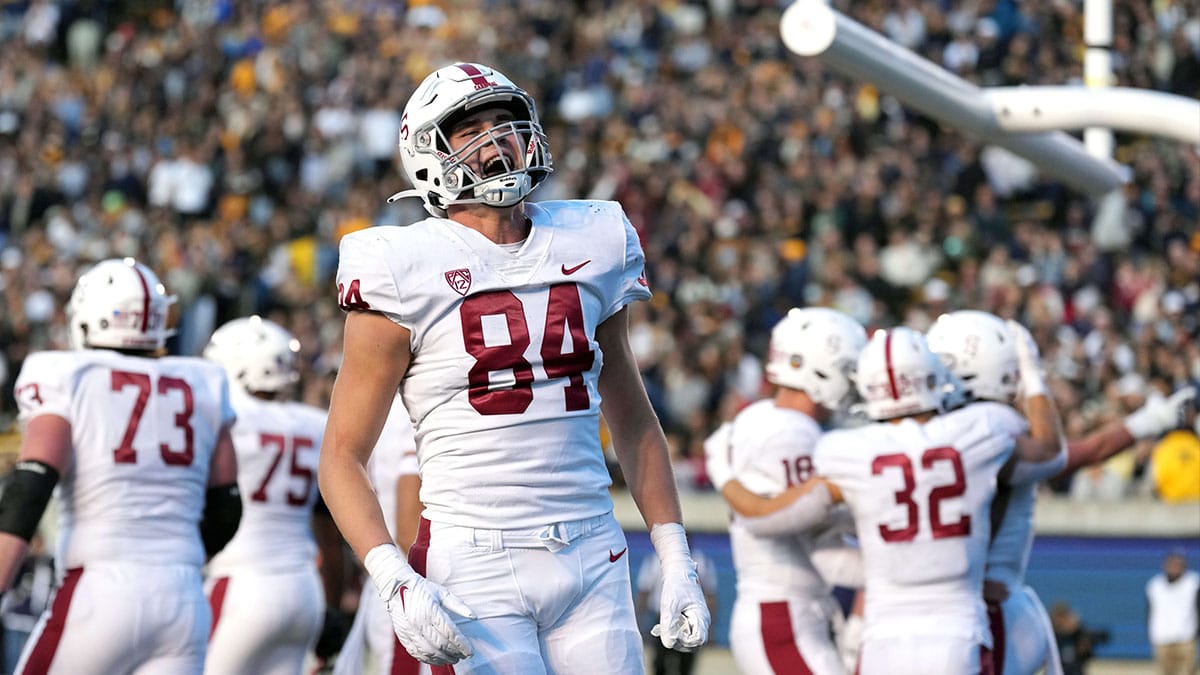 Stanford Cardinal tight end Benjamin Yurosek (84) celebrates after a touchdown by Stanford Cardinal wide receiver Elijah Higgins (not shown) during the third quarter against the California Golden Bears at FTX Field at California Memorial Stadium.