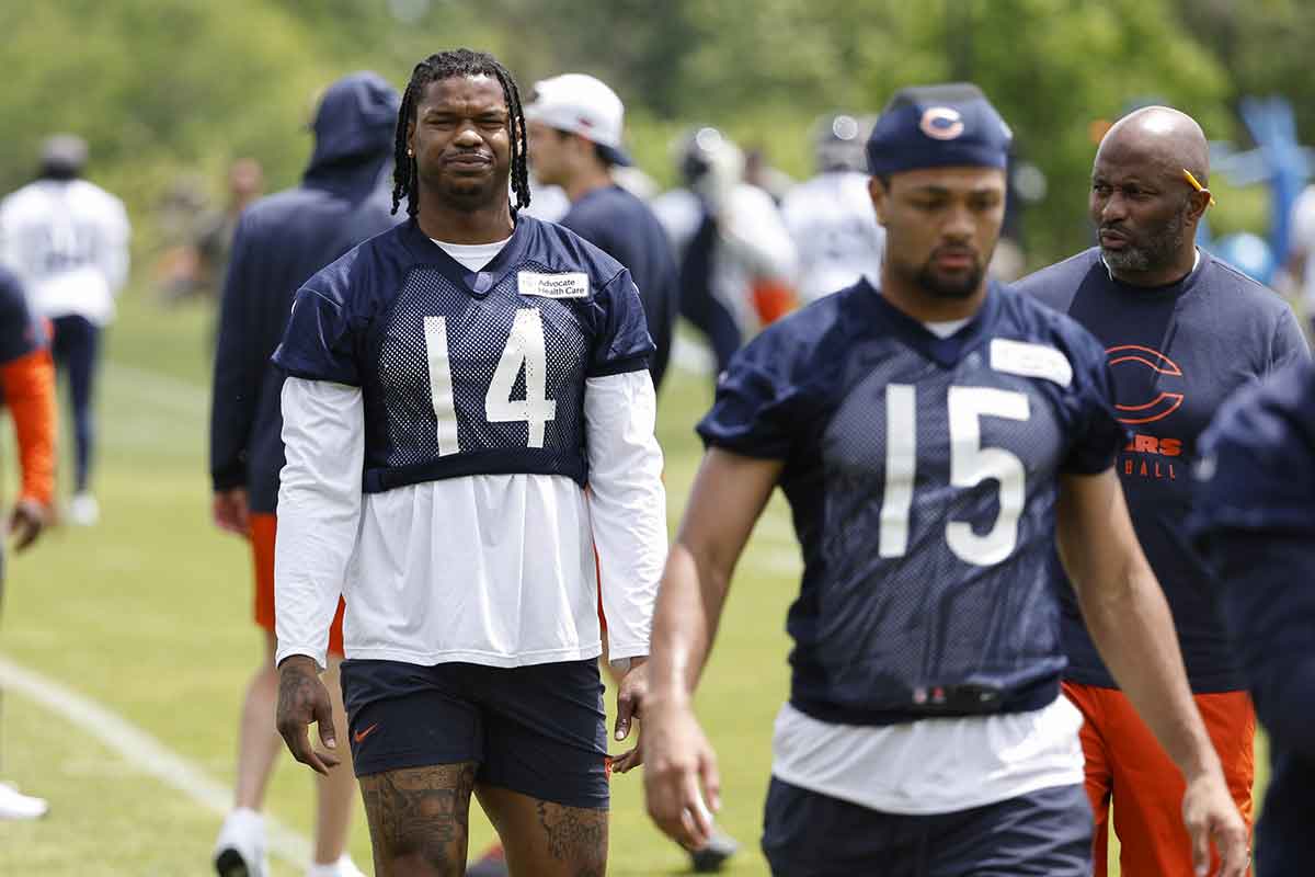 Chicago Bears tight end Gerald Everett (14) looks on during the team's minicamp at Halas Hall.