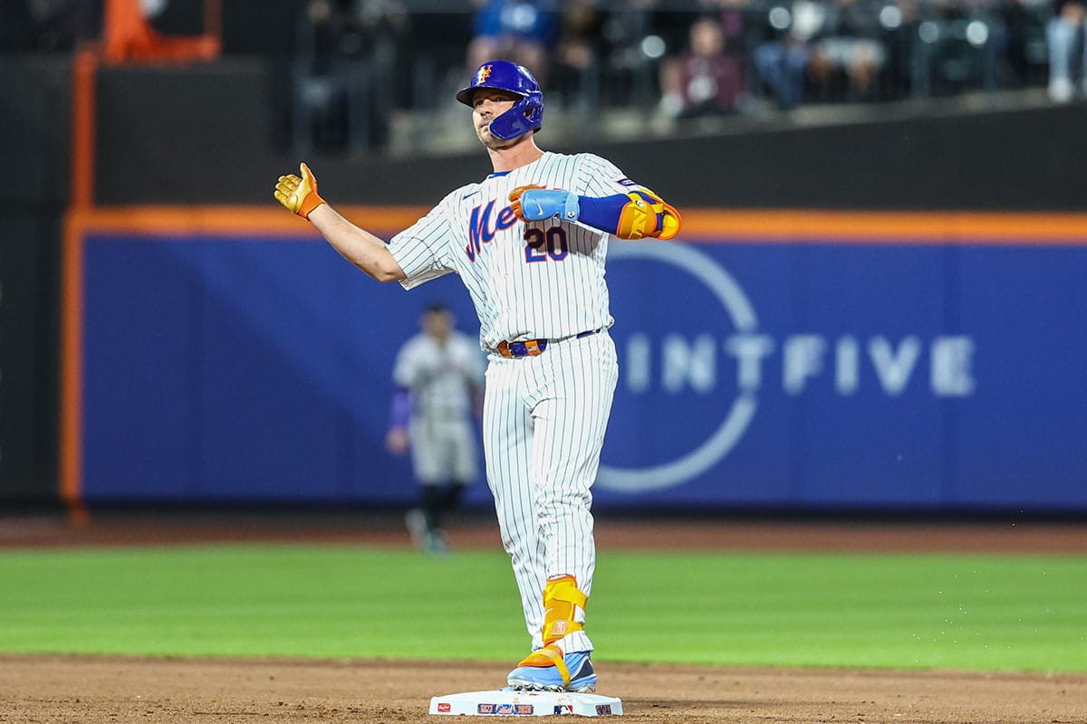 New York Mets pinch hitter Pete Alonso (20) reacts after hitting a double in the seventh inning against the Arizona Diamondbacks at Citi Field.