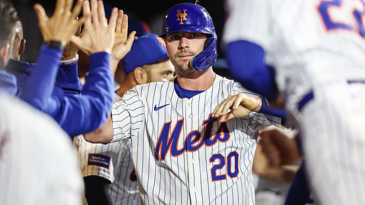 New York Mets pinch hitter Pete Alonso (20) celebrates with teammates in the dugout after scoring the tying run in the seventh inning against the Arizona Diamondbacks at Citi Field.