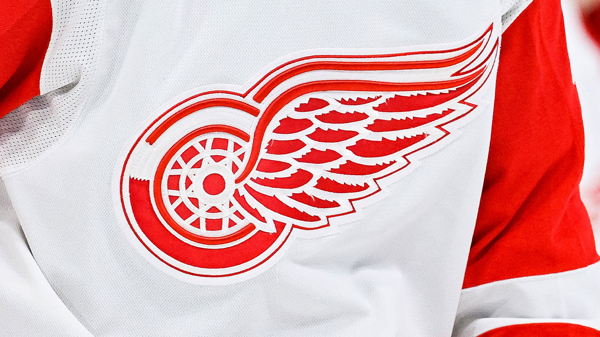 View of a Detroit Red Wings logo on a jersey worn by a member of the team against the Montreal Canadiens during the third period at Bell Centre.