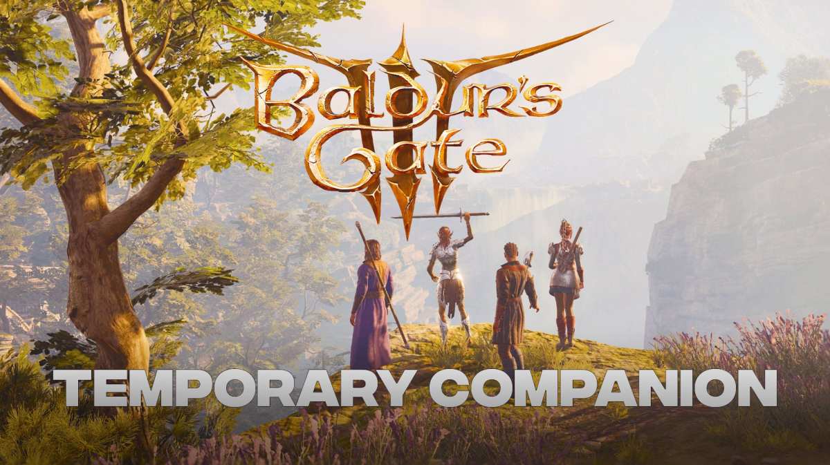 Baldur's Gate 3 Patch 7 Temporary Companion
