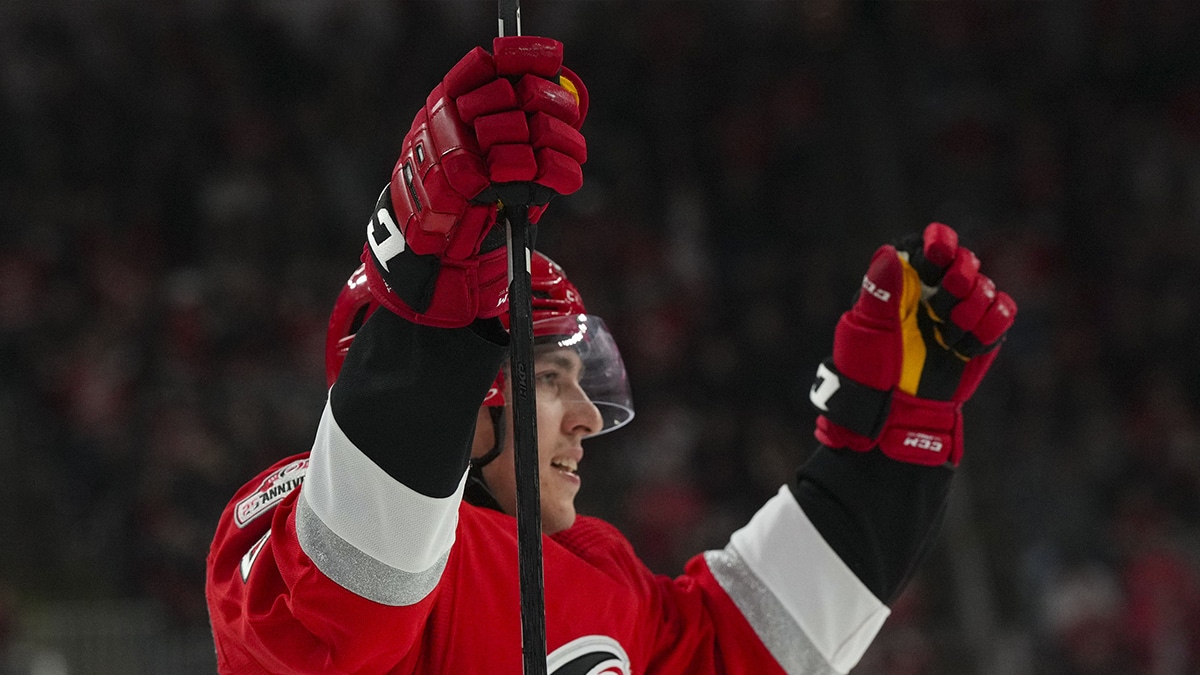 Carolina Hurricanes left wing Teuvo Teravainen (86) celebrates his goal against the Los Angeles Kings during the third period at PNC Arena.