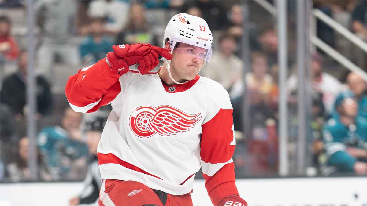 Detroit Red Wings right wing Daniel Sprong (17) reacts after scoring a goal during the first period against the San Jose Sharks at SAP Center at San Jose.