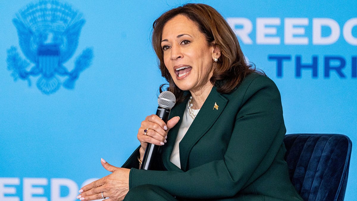 Vice President Kamala Harris speaks with D.L. Hughley highlighting how the Biden-Harris Administration has taken historic steps to advance economic opportunity by improving access to housing, creating jobs and investing in small businesses