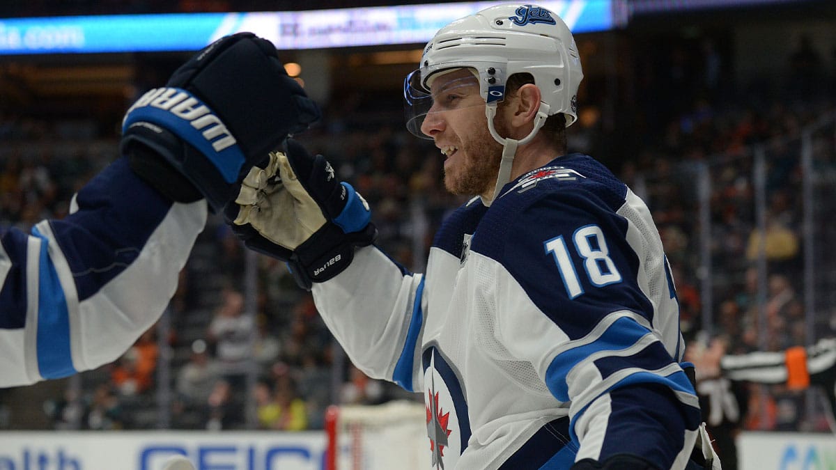 Winnipeg Jets center Bryan Little (18) celebrates his goal scored against the Anaheim Ducks during the third period at Honda Center.