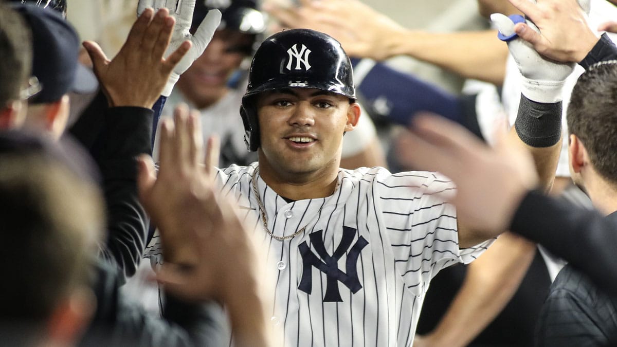 Sep 8, 2023; Bronx, New York, USA; New York Yankees center fielder Jasson Dominguez (89) is greeted in the dugout after hitting a home run in the third inning against the Milwaukee Brewers at Yankee Stadium. 