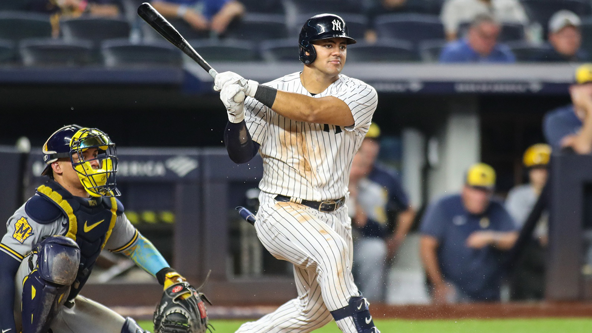 New York Yankees center fielder Jasson Dominguez (89) at Yankee Stadium