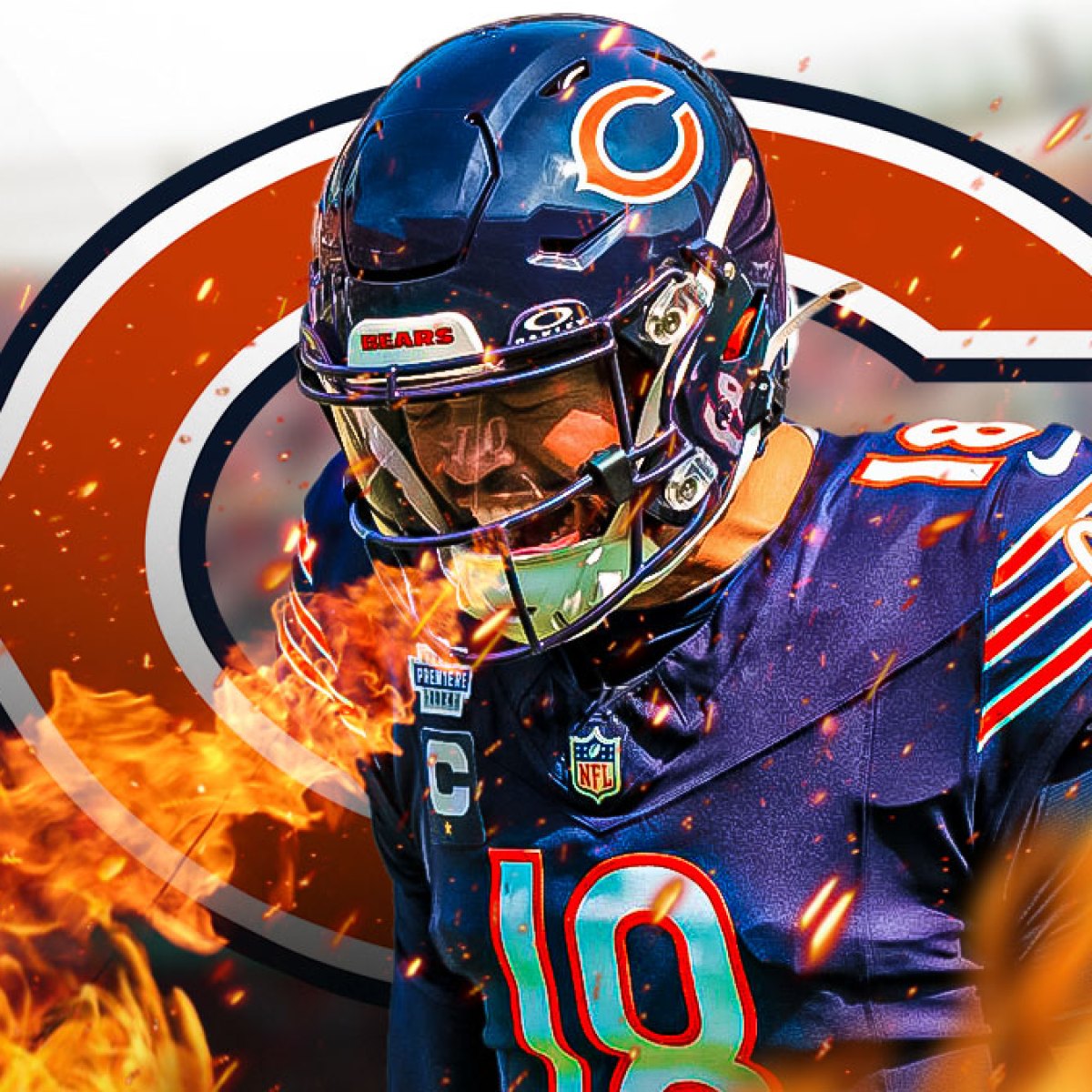 Bears