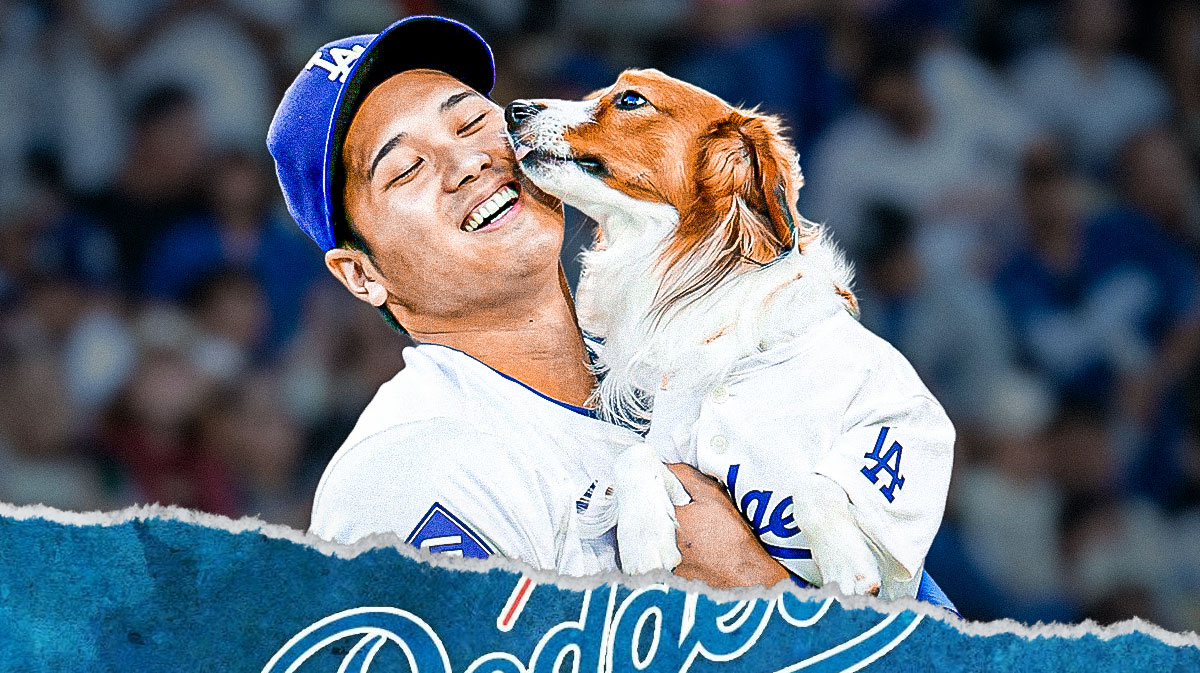 Shohei Ohtani batting in a Los Angeles Dodgers uniform and his dog Decoy as Ohtani had cleats with Decoy's photo during his 50 homer game setting a record.