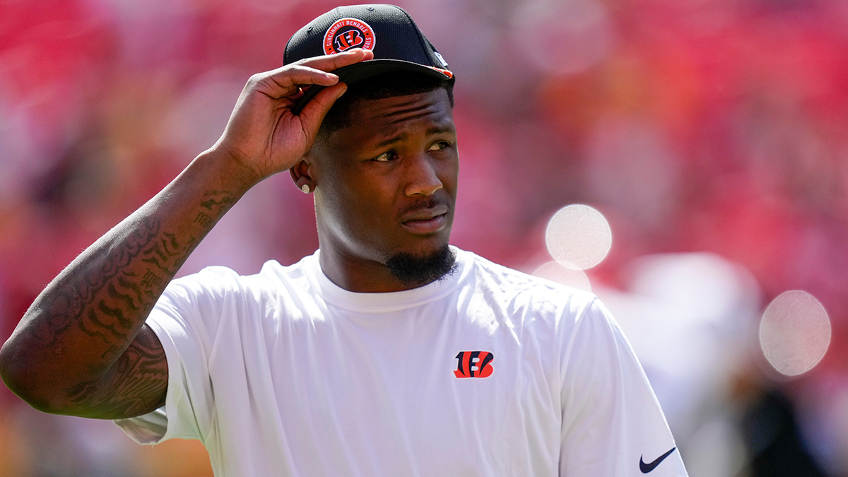 Tee Higgins injured Bengals player