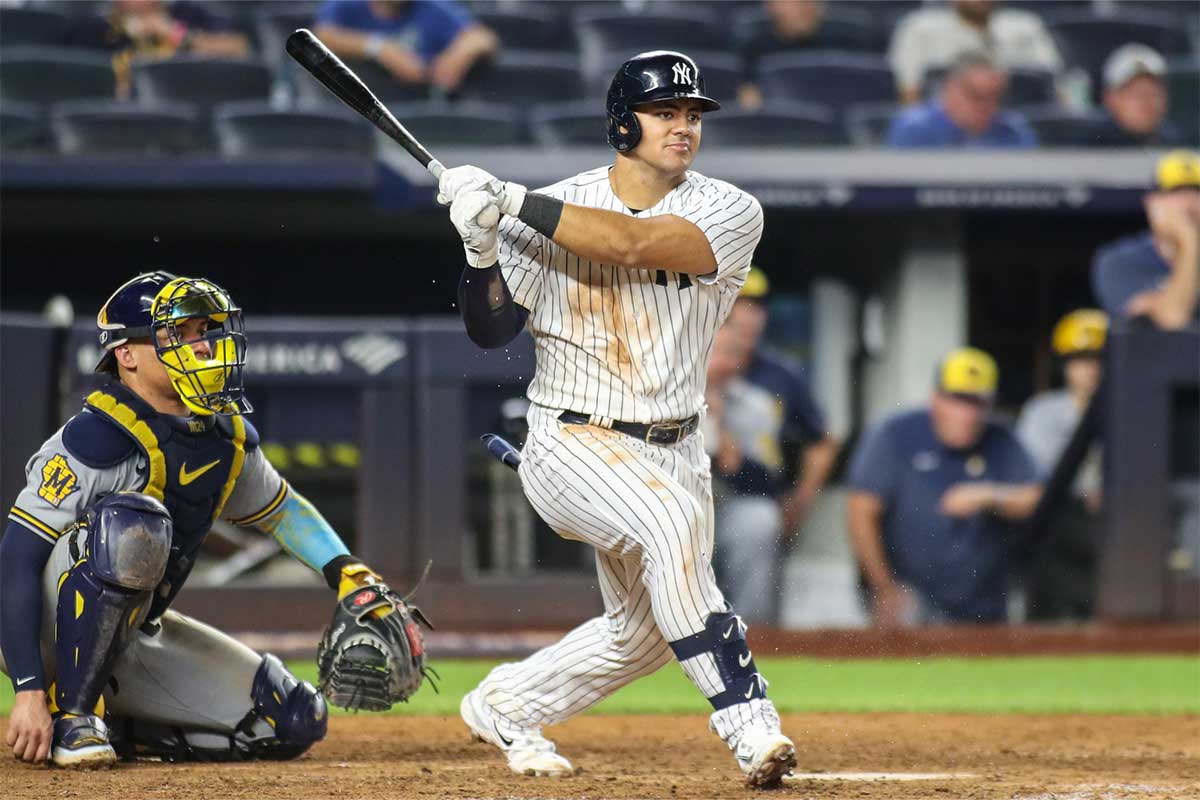 New York Yankees center fielder Jasson Dominguez (89) at Yankee Stadium.