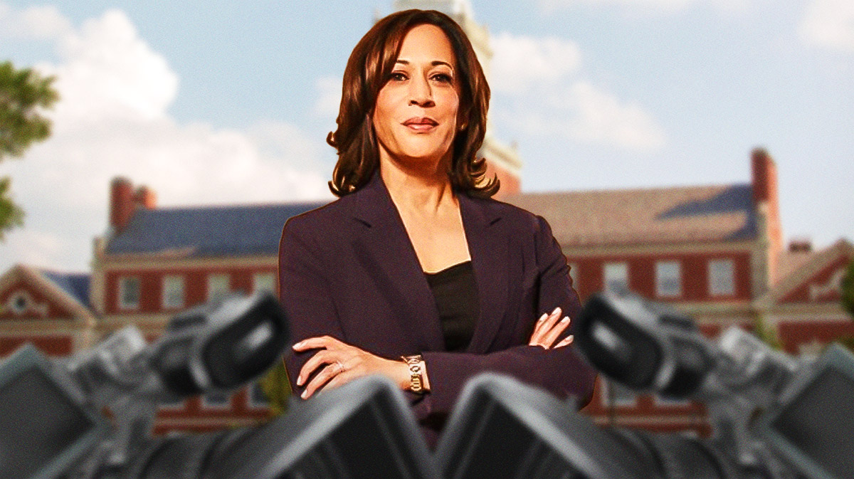 Delta Sigma Theta reacts to Kamala Harris’s historic presidential run