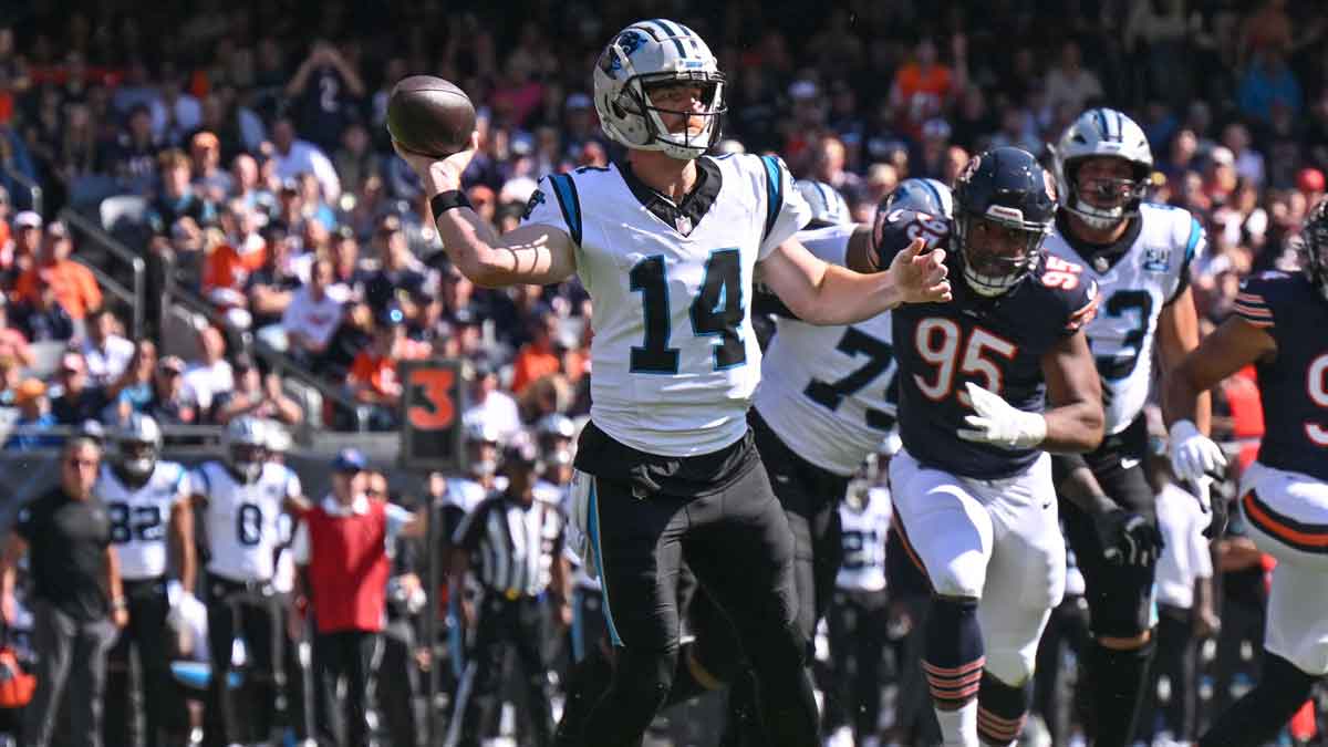 Carolina Panthers quarterback Andy Dalton (14) passes the ball against the Chicago Bears during the second quarter at Soldier Field.