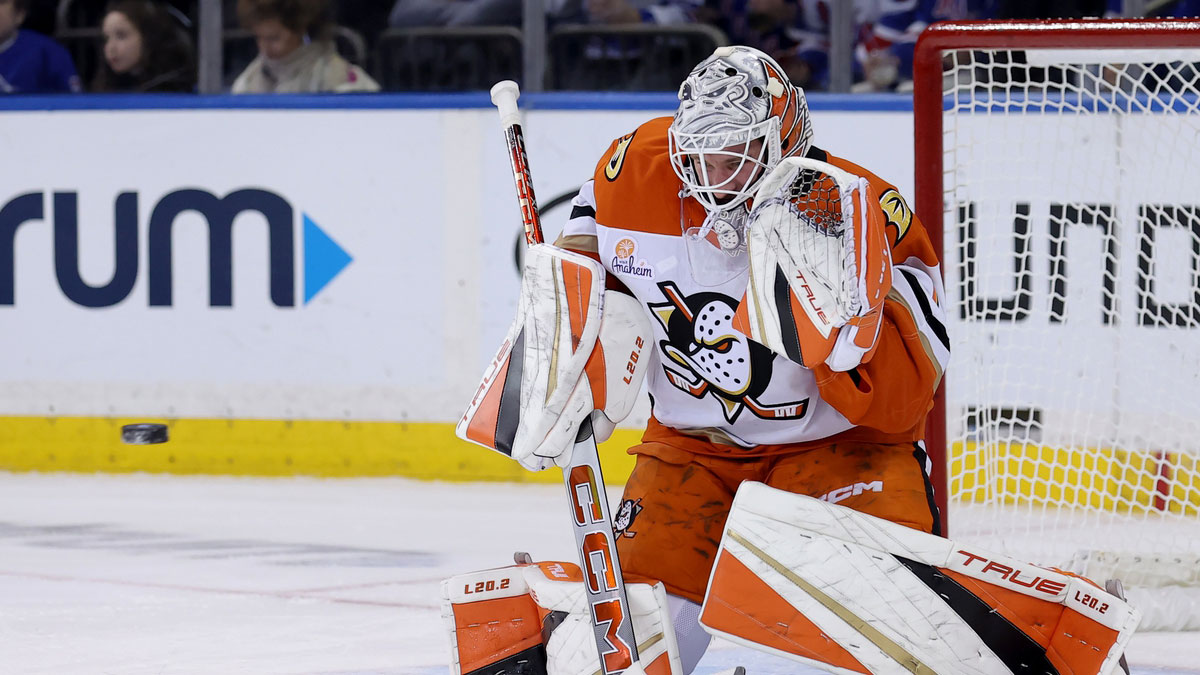 Anaheim Ducks goaltender Lukas Dostal (1) makes a save against the New York Rangers during the first period at Madison Square Garden.