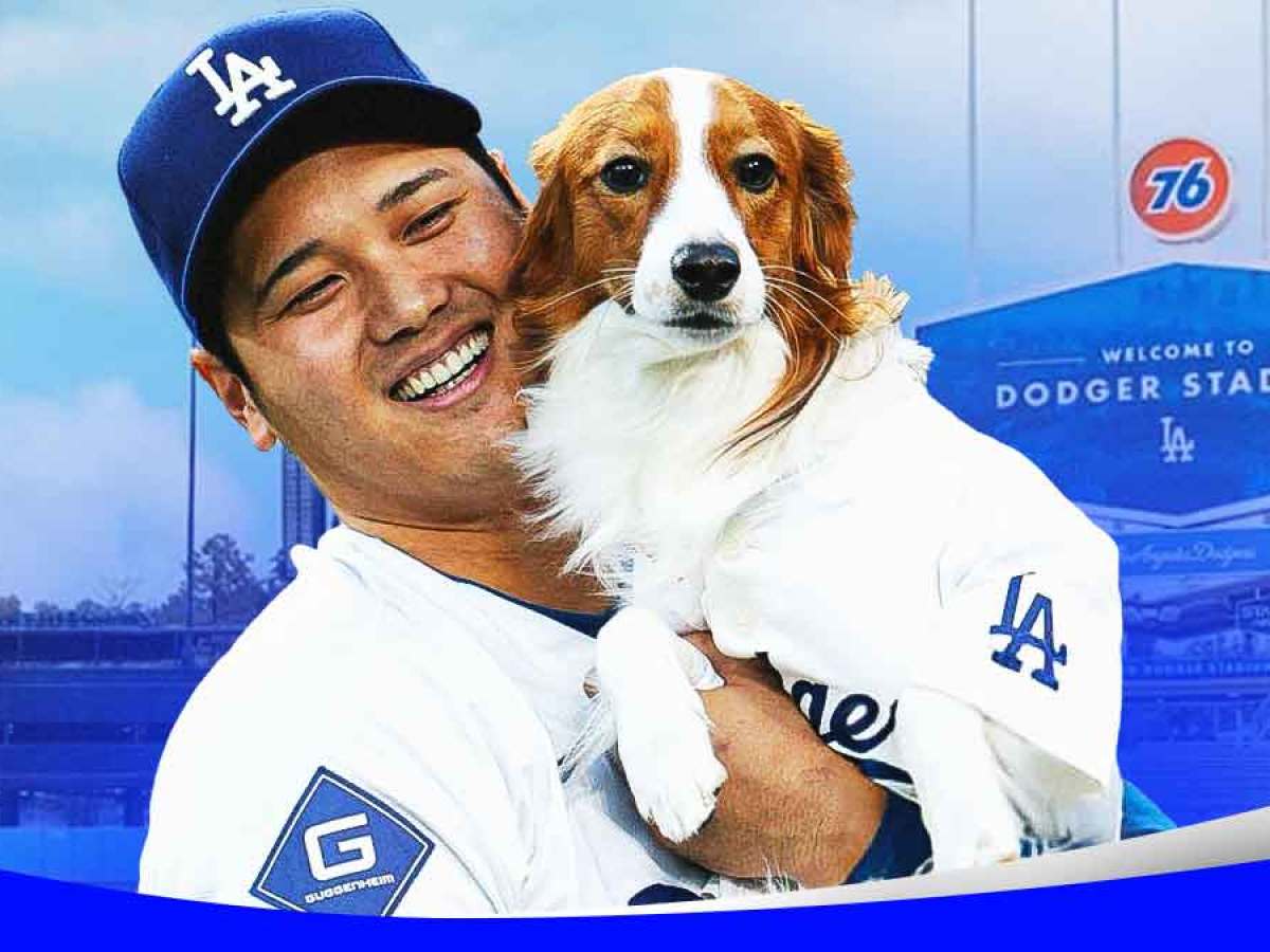 Shohei Ohtani's dog hilariously goes viral after MVP announcement
