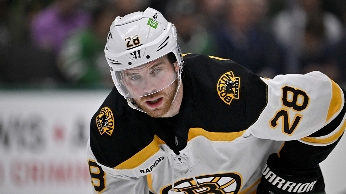 Boston Bruins center Elias Lindholm (28) in action during the game between the Dallas Stars and the Boston Bruins at the American Airlines Center.